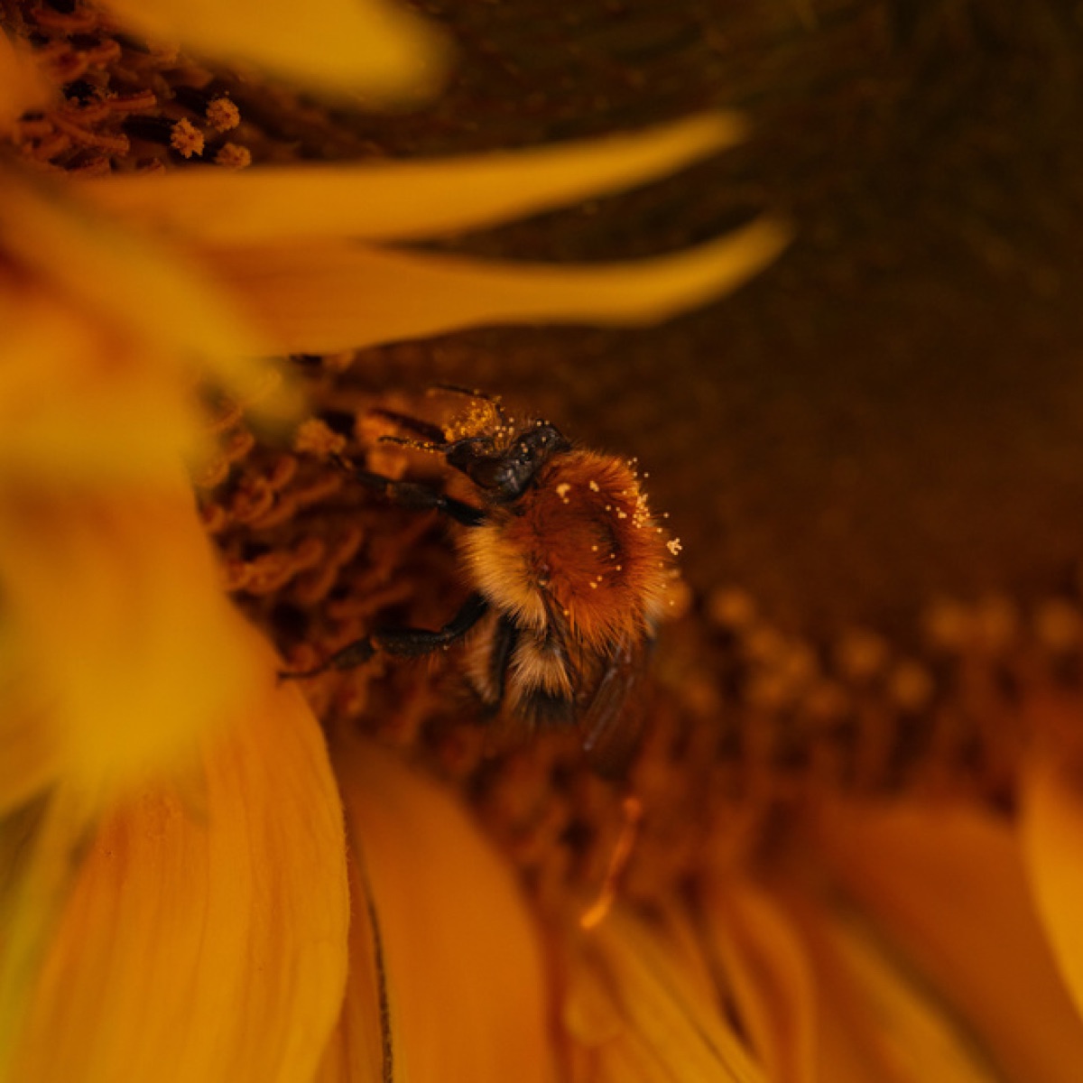 Photographie, Evie Rigaud