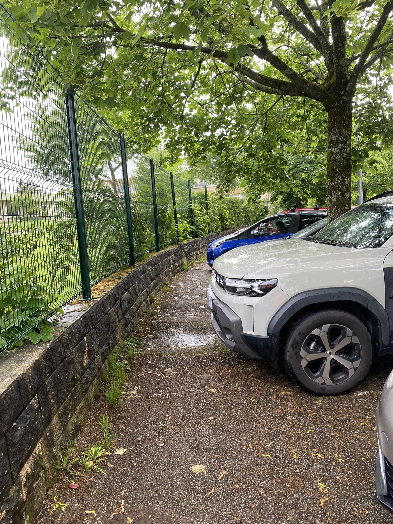 Stationnement le long du mur, sous les arbres existants
