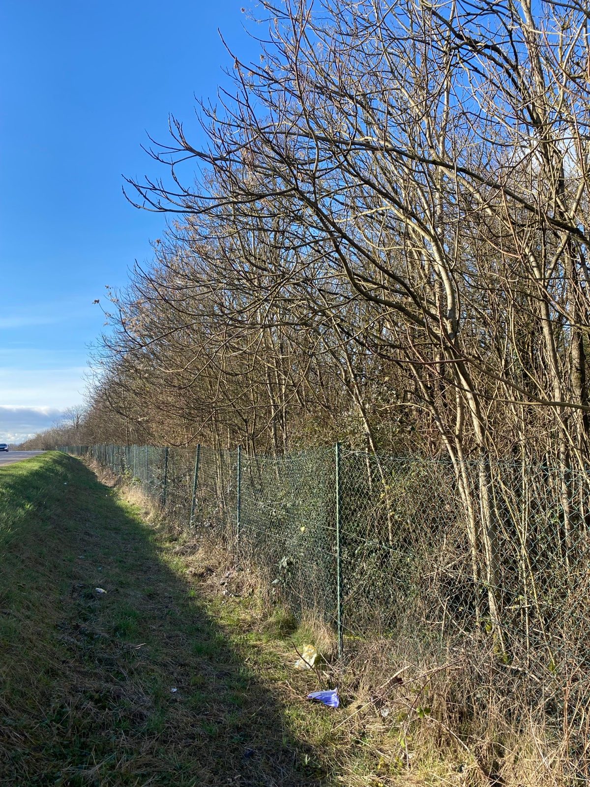 Talus boisé et clôture le long de la route