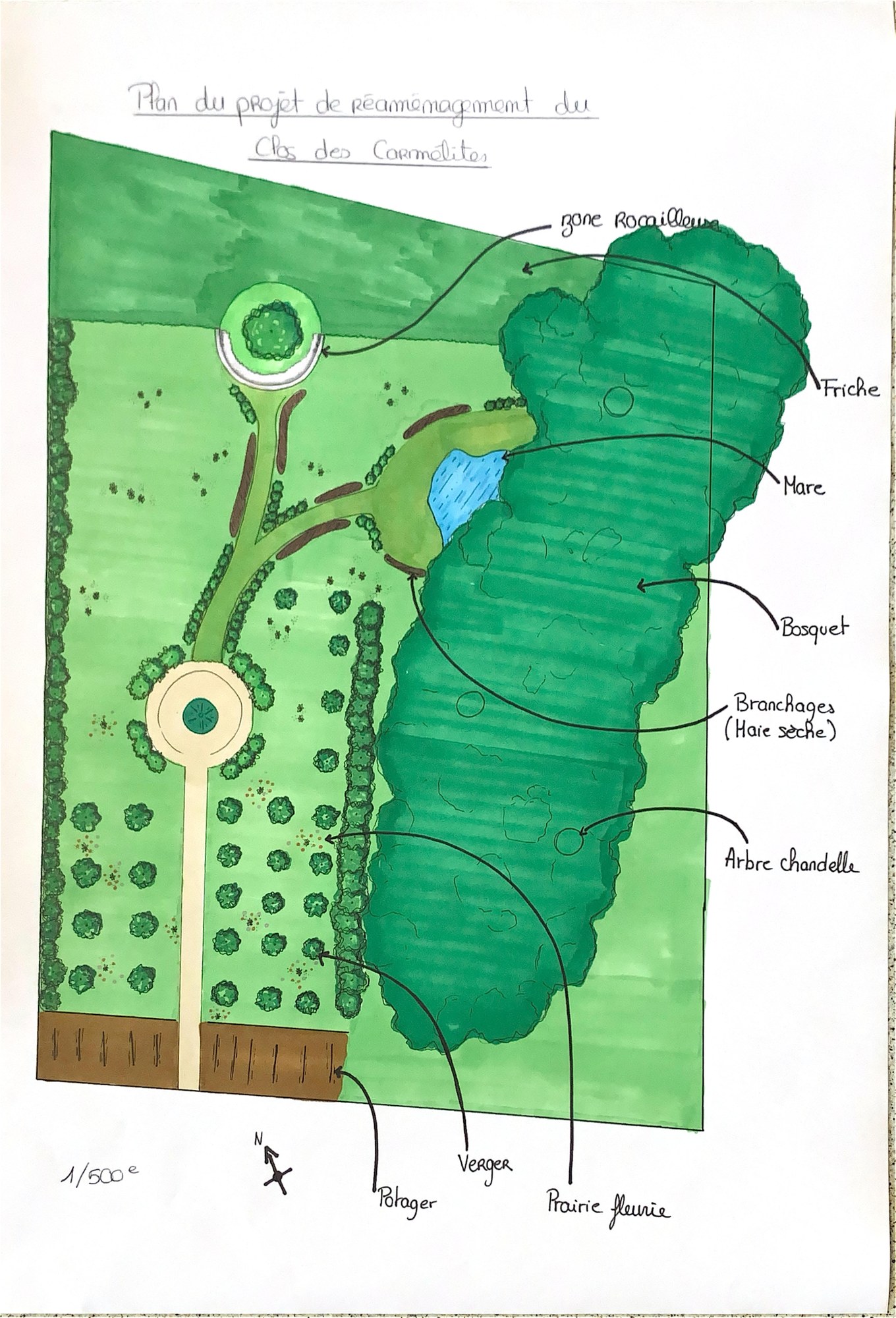 Plan d'aménagement au feutre à alcool, jardin arboré
