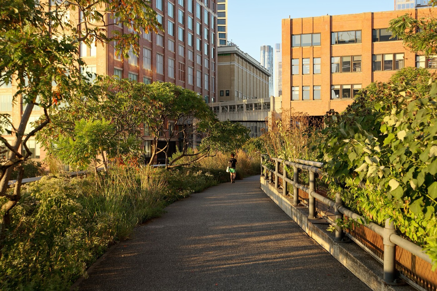 La High Line, New York : une prairie de vivaces et de graminées déroulée sur une ancienne voie ferrée suspendue.